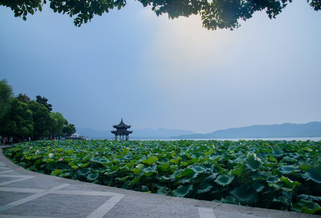 2026 06 23 hangzhou complete travel guide 2026 photo 2