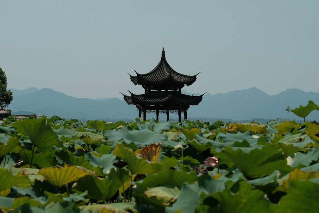 2026 07 17 hangzhou west lake complete guide photo 3