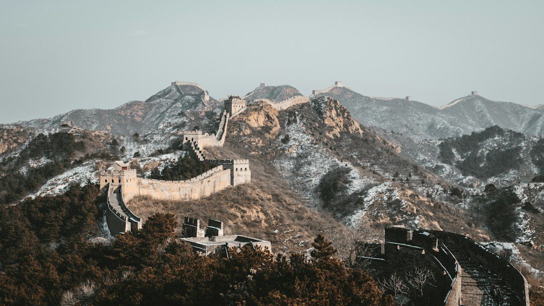 how to get a china visa in 2026 photo 3